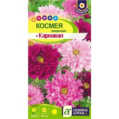 Космея Карнавал махровая