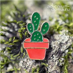 Значок Кактус Opuntia BASILARIS (Опунция, Брошь)