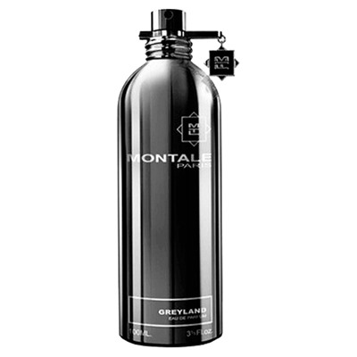 Montale Greyland edp 100 ml