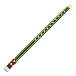 Ошейник брезентовый безразмерный однослойный, 57 х 2,5 см, ОШ 25-45 см, хаки/зелёный