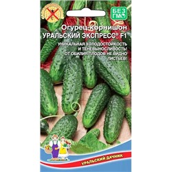Семена Огурец-корнишон Уральский экспресс F1, арт.: 2348