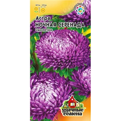 Семена Астра Ночная Серенада, арт.: 3561