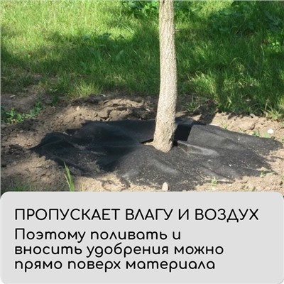 Круг приствольный, d=1 м, плотность 60 г/м², спанбонд с УФ-стабилизатором, набор 2 шт., чёрный, Greengo, Эконом 20%