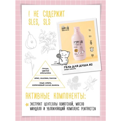 Happy Lab Набор для ухода за телом Sweet Dreams: гель для душа, жидкое мыло, 300 мл x 2