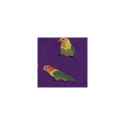 Носки женские 21С4200 166 Брестские Pets Conte [6шт] Дроп
