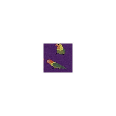Носки женские 21С4200 166 Брестские Pets Conte [6шт] Дроп