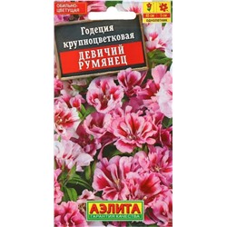 Годеция Девичий Румянец Аэлита