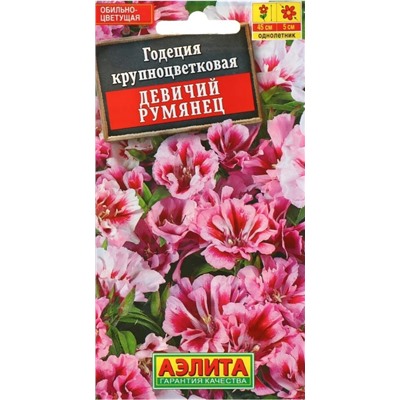Годеция Девичий Румянец Аэлита