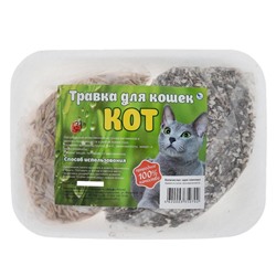 Травка "Кот" для кошек, на подложке