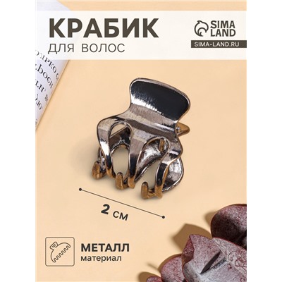 Крабик для волос «Брианна», зубья, 2 см, тёмное серебро