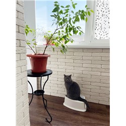 Столик журнальный SHT-CT10-1
                        черный муар