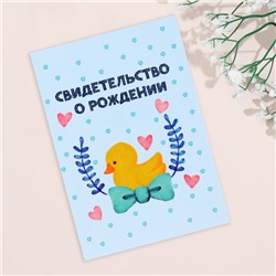 Папка под свидетельство о рождении, А5 «Утёнок»