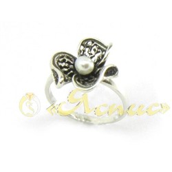 0667К   Адажио