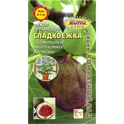 Инжир Сладкоежка гирканский комнатн