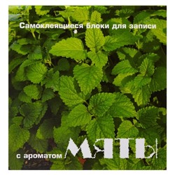 Блок-кубик Мята ароматизированный 7575MINT-50