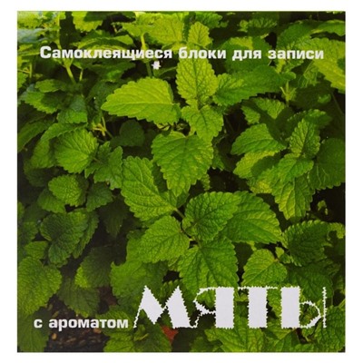 Блок-кубик Мята ароматизированный 7575MINT-50