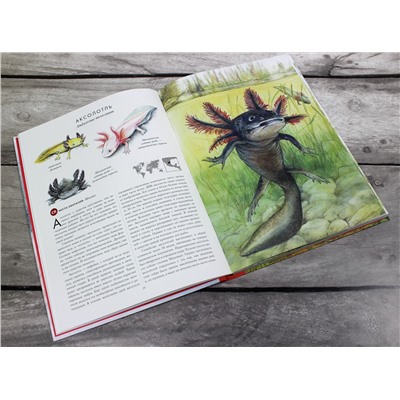 Уценка. Радек Мали. КРАСНАЯ КНИГА. Животные на грани вымирания