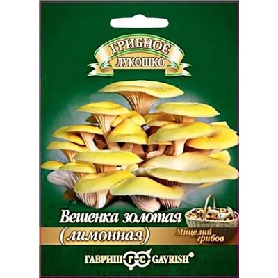 Мицелий грибов Вешенка золотая Лимонная, арт.: 11302