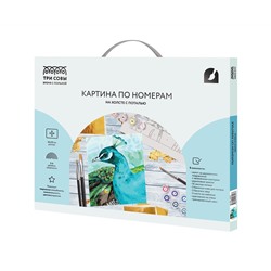 Картина по номерам на холсте ТРИ СОВЫ "Павлин", 40*50, с поталью, акриловыми красками и кистями