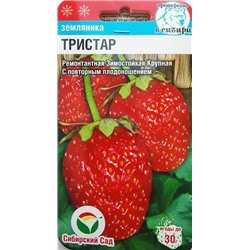 Семена Земляника (клубника) Тристар крупноплодная, арт.: 5212