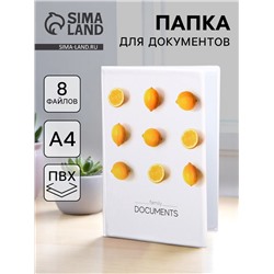 Папка для семейных документов Docs, 8 файлов А4