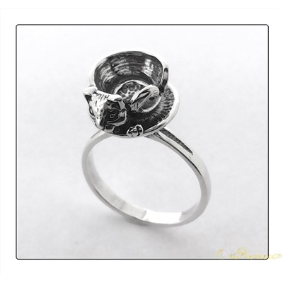 1724К   Маскировка