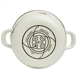 КАСТРЮЛЯ AGNESS ЭМАЛИРОВАННАЯ С ЭМАЛ.КРЫШКОЙ СЕРИЯ "СНЕГИРИ", 2.0 Л, 18*11 СМ