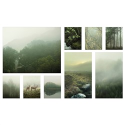 PJÄTTERYD, Bild 9er-Set, Nebel im Wald,, 179x112 cm