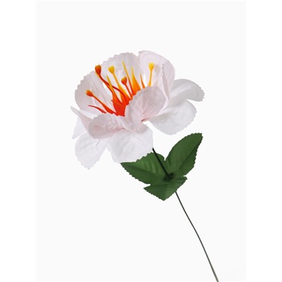 Цветы искусственные «Бегония криспа», h=27 см, d=11 см, белые