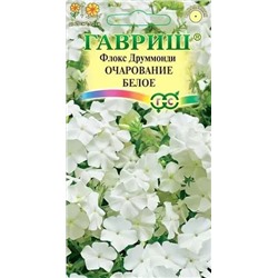 Семена Флокс Друммонда Очарование белое, арт.: 4952