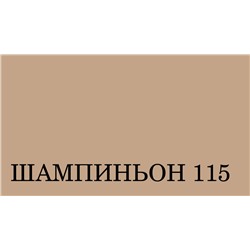 BRAUS Крем для обуви в тубе с губкой ШАМПИНЬОН 75 мл