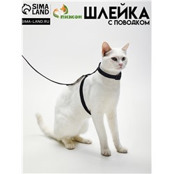 Комплект для кошек, ширина 1 см, ОШ 16,5-27 см, ОГ 21-35 см, поводок 120 см, чёрный