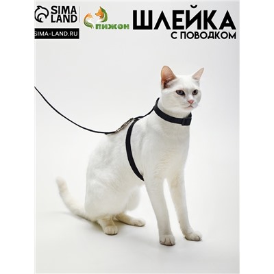 Комплект для кошек, ширина 1 см, ОШ 16,5-27 см, ОГ 21-35 см, поводок 120 см, чёрный