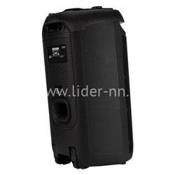 Колонка 08" (30-29 DANCE BOX 1000 NEW) динамик 2шт/8" ElTRONIC с TWS