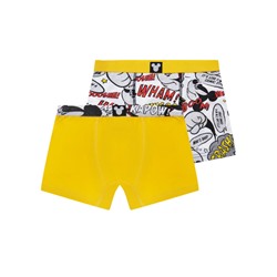 Трусы-боксеры для мальчика, 2 шт. в комплекте