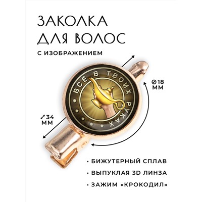 HZF-0165 Заколка Всё в твоих руках