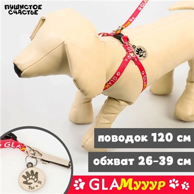 Поводок «Ты и я» 120×1 см, шлейка 26-39 см, медальон