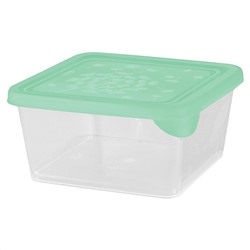 Контейнер для продуктов Sugar&Spice Delicate 0,45 л квадратный SE151311000 эвкалипт