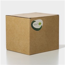 Заварочный чайник «Эко. Бабл», 800 мл, 18×13.5×12.5 см, с бамбуковой крышкой, металлический фильтр, стекло, прозрачный