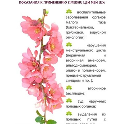 Фитопрокладки Цзи Мей Шу Zimeishu с серебром