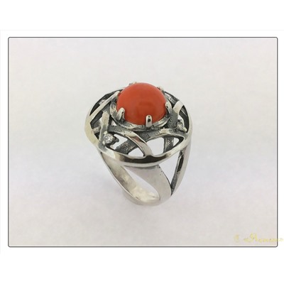 1248К   Сиртаки