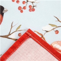 Фартук «Этель» Winter birds, 60×70 см, 100% хлопок, саржа 190 г/м²