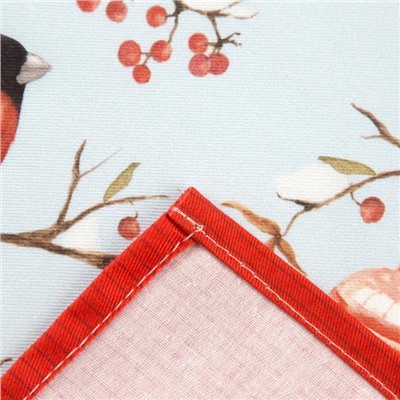 Фартук «Этель» Winter birds, 60×70 см, 100% хлопок, саржа 190 г/м²
