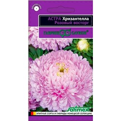 Семена Астра Хризантелла Розовый восторг, арт.: 9120