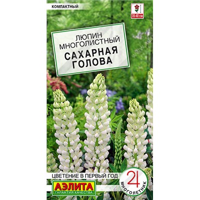 1418 Люпин Сахарная голова 7шт