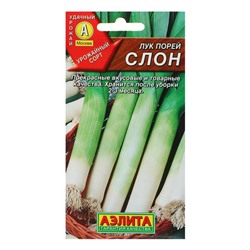 Семена Лук порей «Слон», 0.5 г