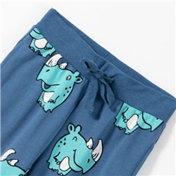 Спортивные штаны Malwee