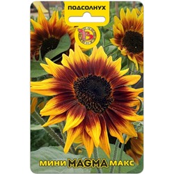 Подсолнух Мини-Макс F1 Магма