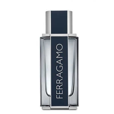 Salvatore Ferragamo Ferragamo edt pour homme 100 ml A-Plus