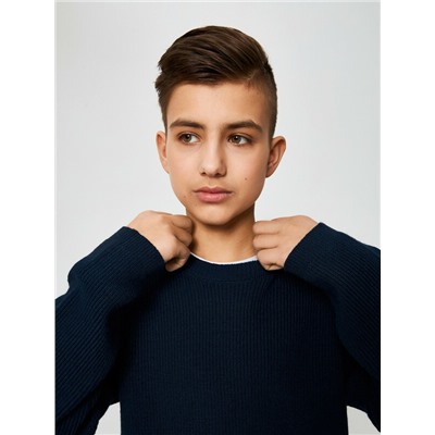 Джемпер муж. Ricardo_teen